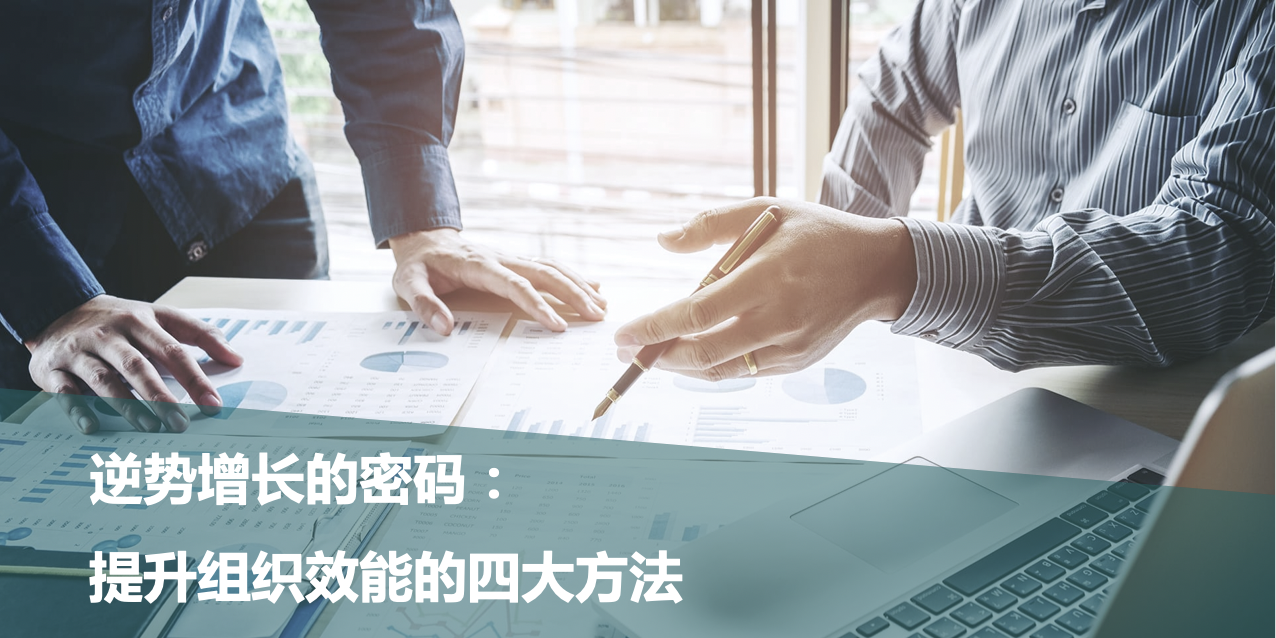 逆势增长的密码：提升组织效能的四大方法